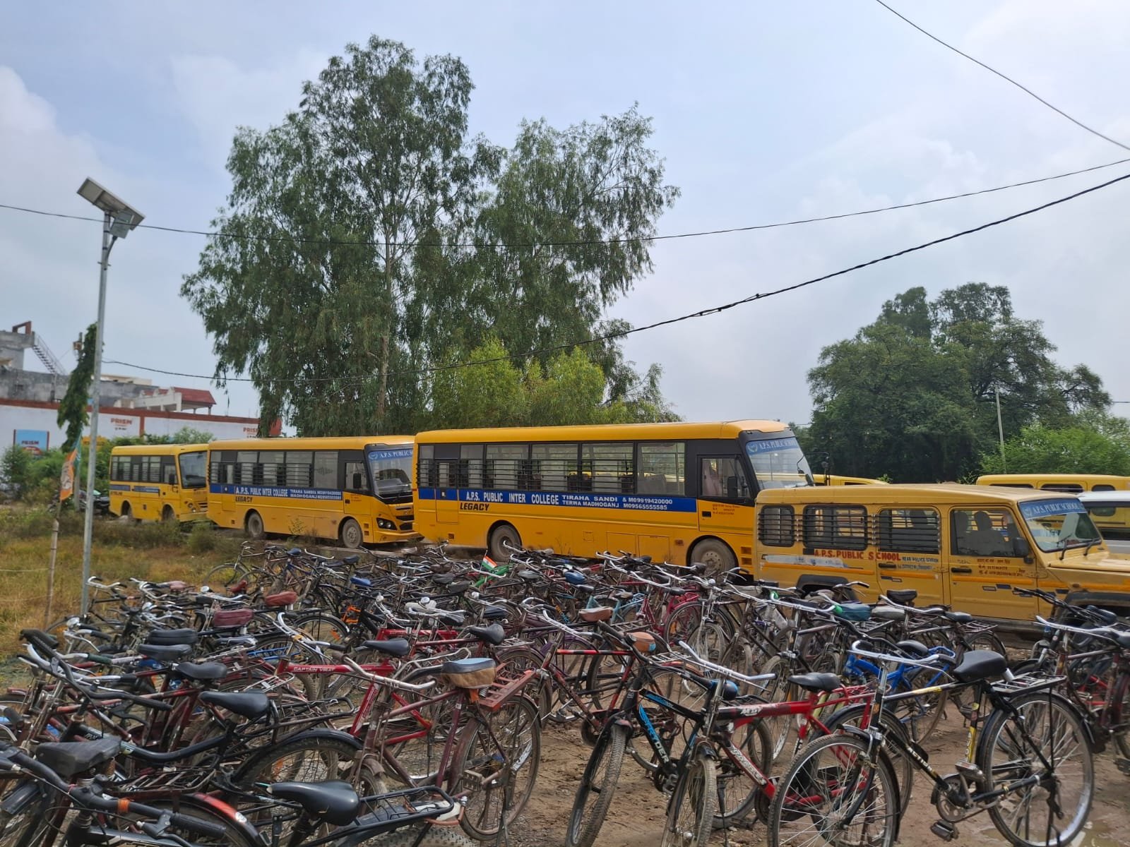 School Transport